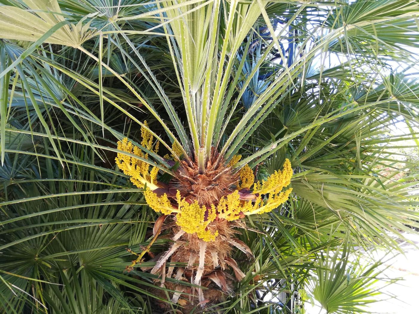 Villa Angel-France-CAUNES-MINERVOIS-General view-9