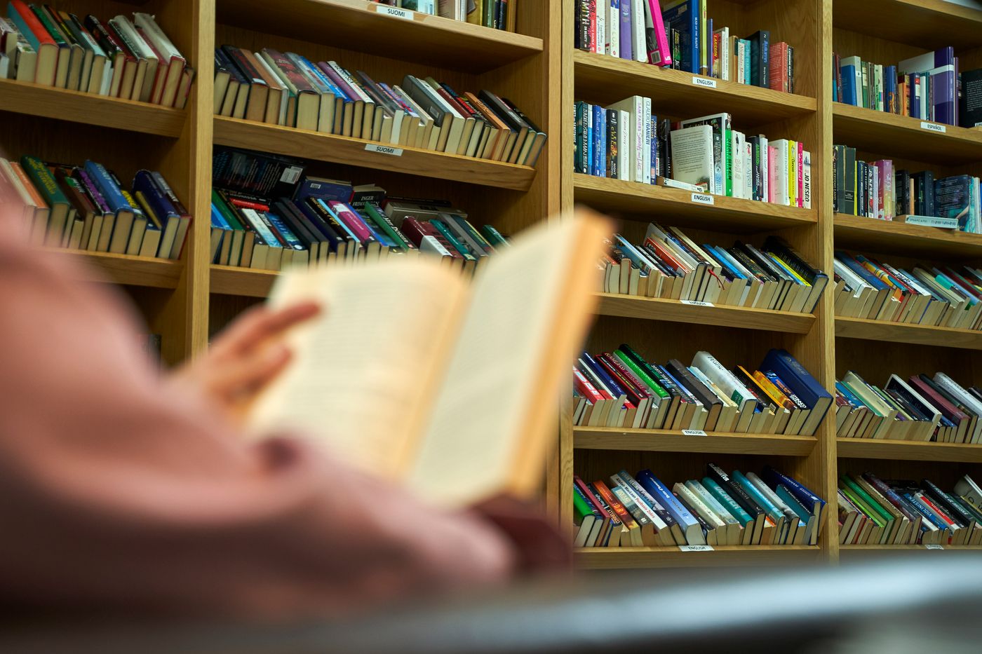 Mediterraneo-Real-Sports-and-Entertainment-51