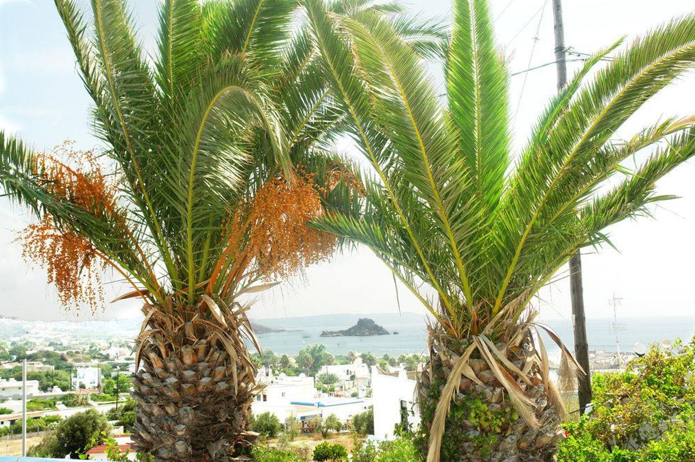 Archodia-Studios-General-view-18