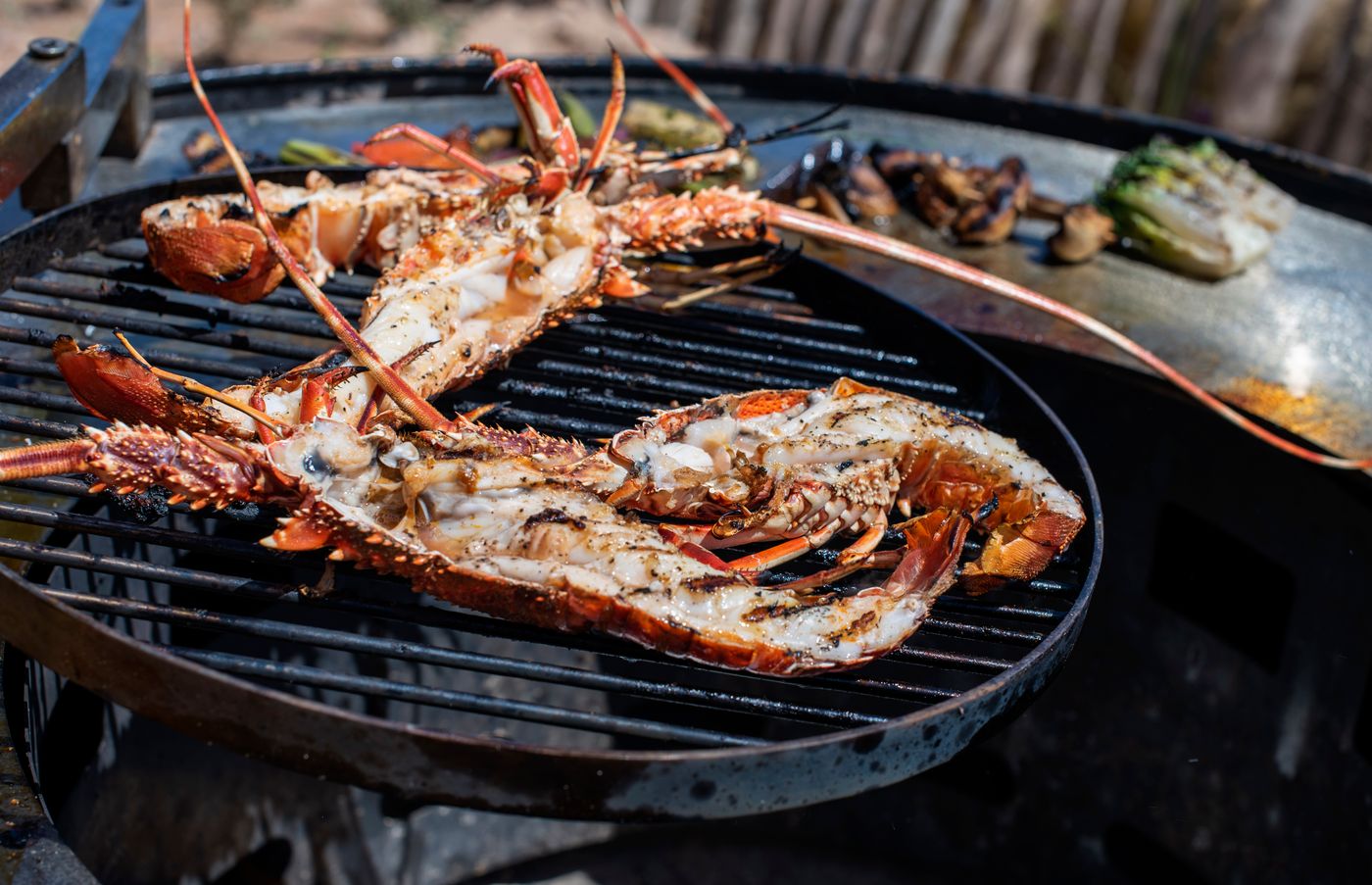 Hyatt-Regency-Taghazout-Restaurant-24