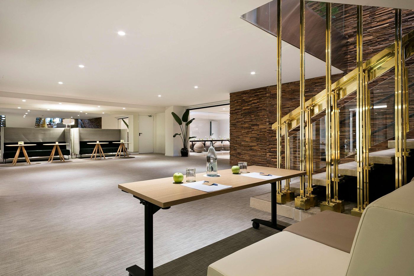 Melia-Madrid-Princesa-Conferences-14