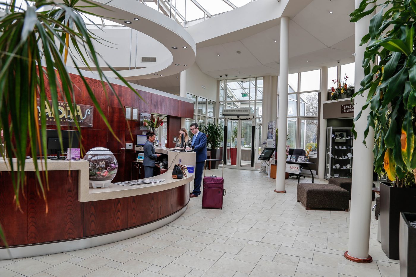 Alona-United Kingdom-MOTHERWELL-General view-3