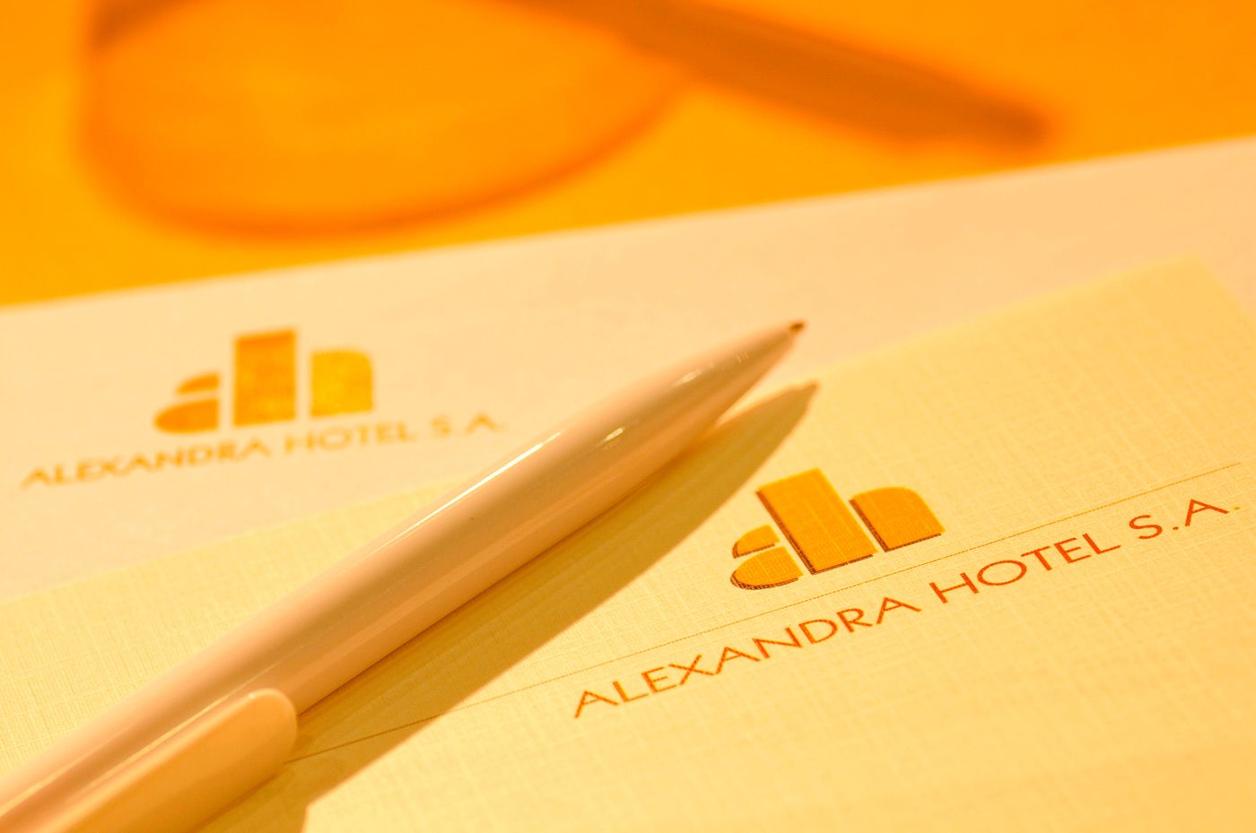 Alexandra-Conferences-19