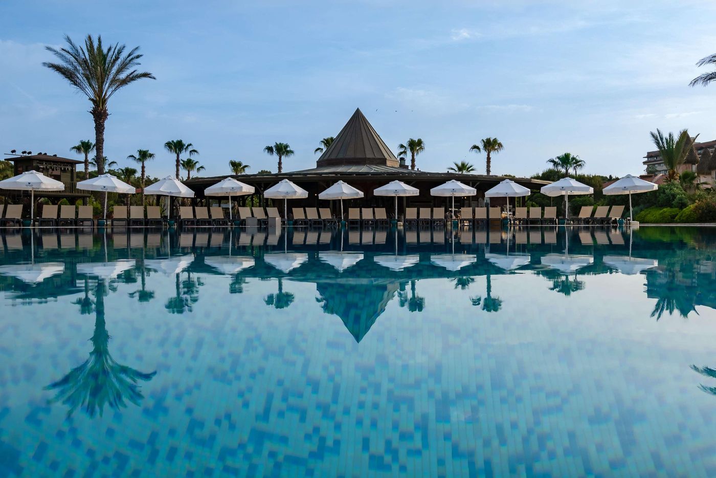 Papillon-Belvil-Pool-13