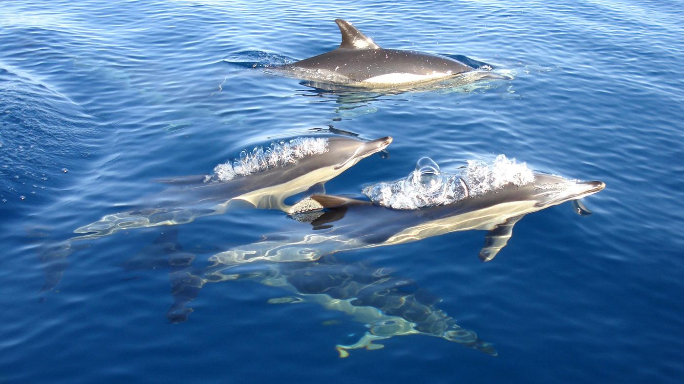 Quinta-Dos-Poetas-Beach-24