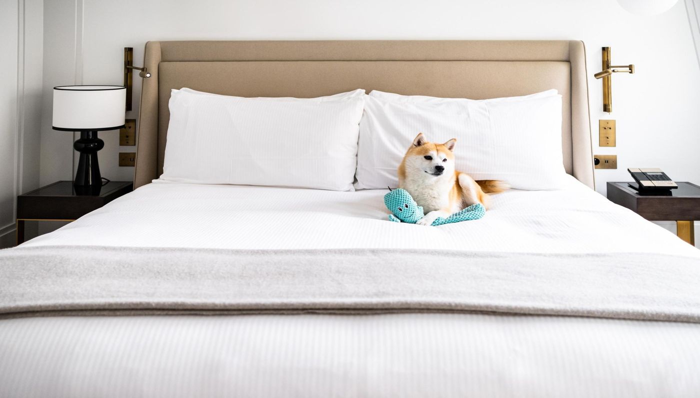 Kimpton-St-Honore-Paris-General-view-8