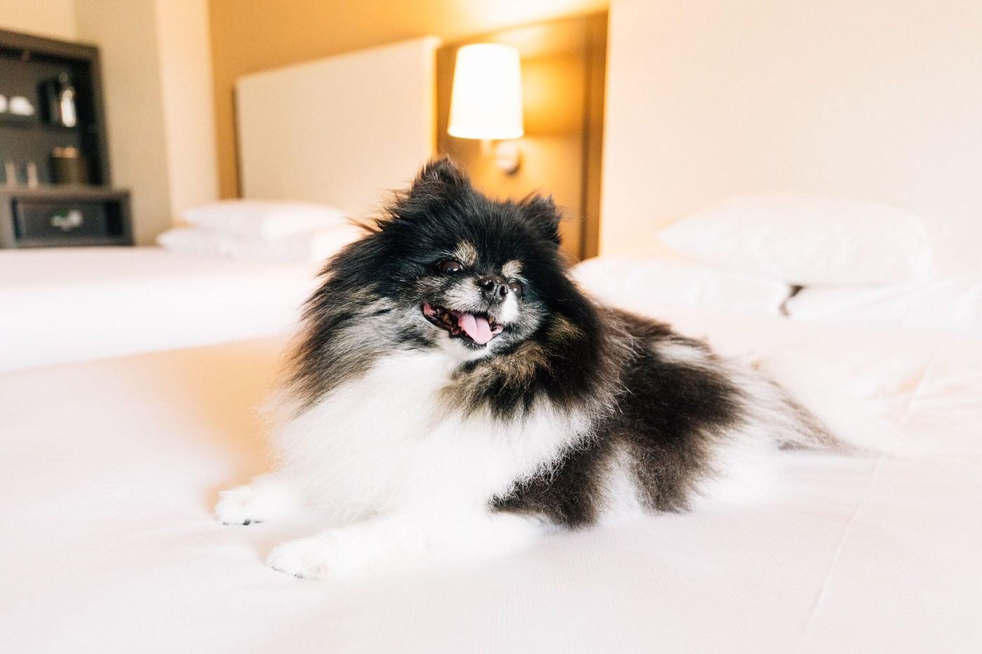 Hyatt at Olive 8-United States-SEATTLE-General view-6