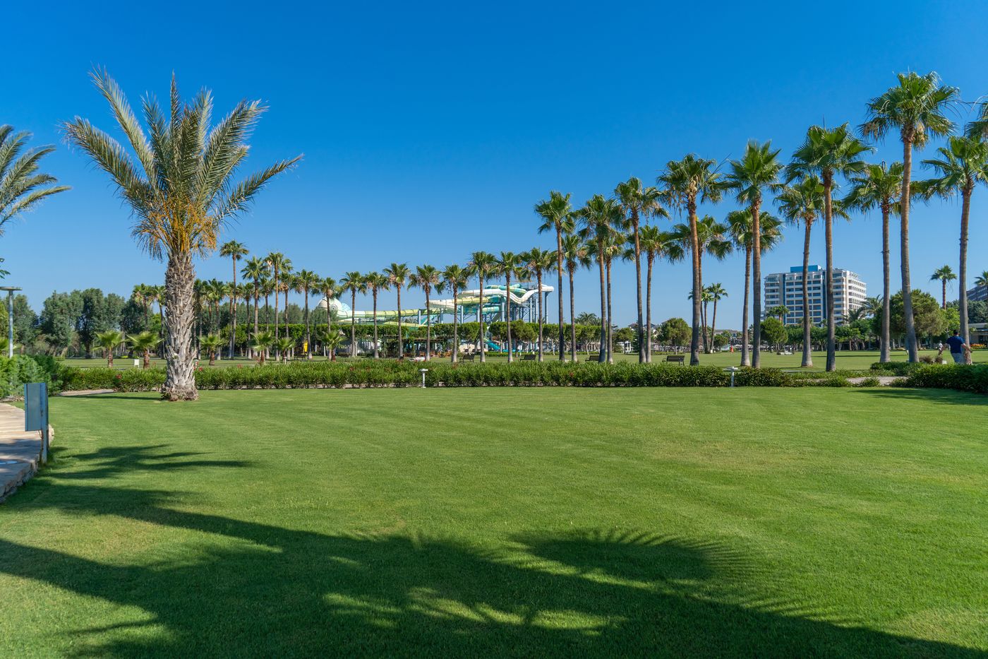 Lara-Barut-Collection-General-view-14