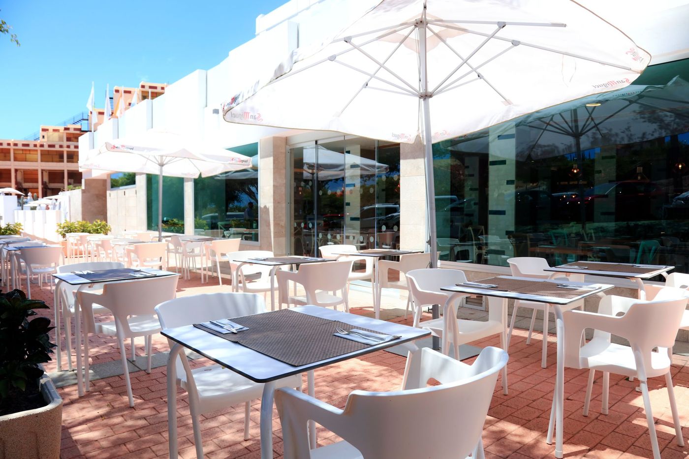 Lemon & Soul Cactus Garden