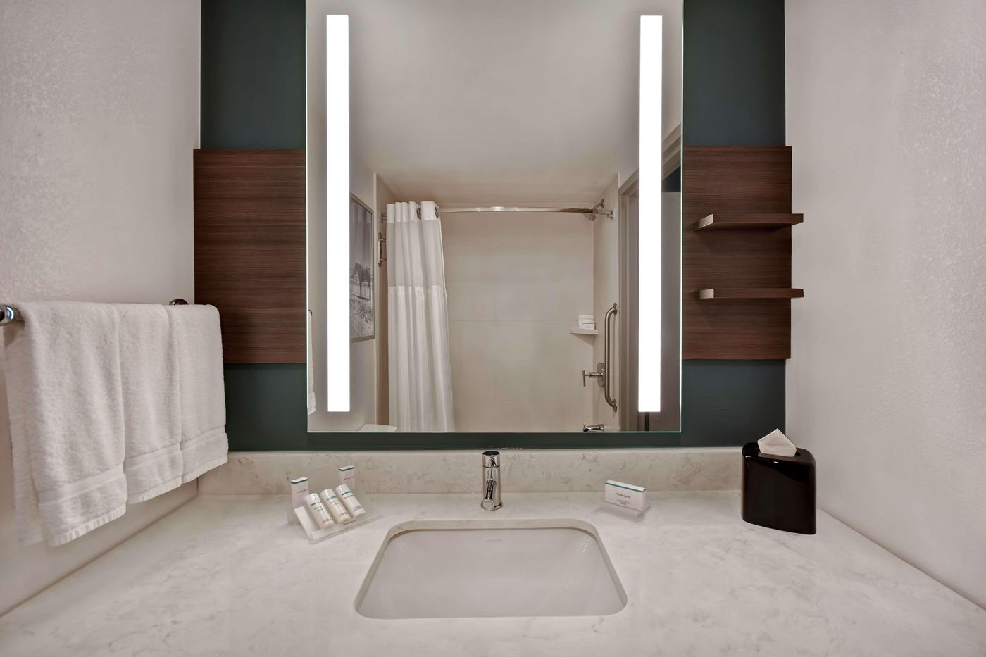 Hilton Garden Inn Houston/Galleria Area-United States-HOUSTON-Room-10