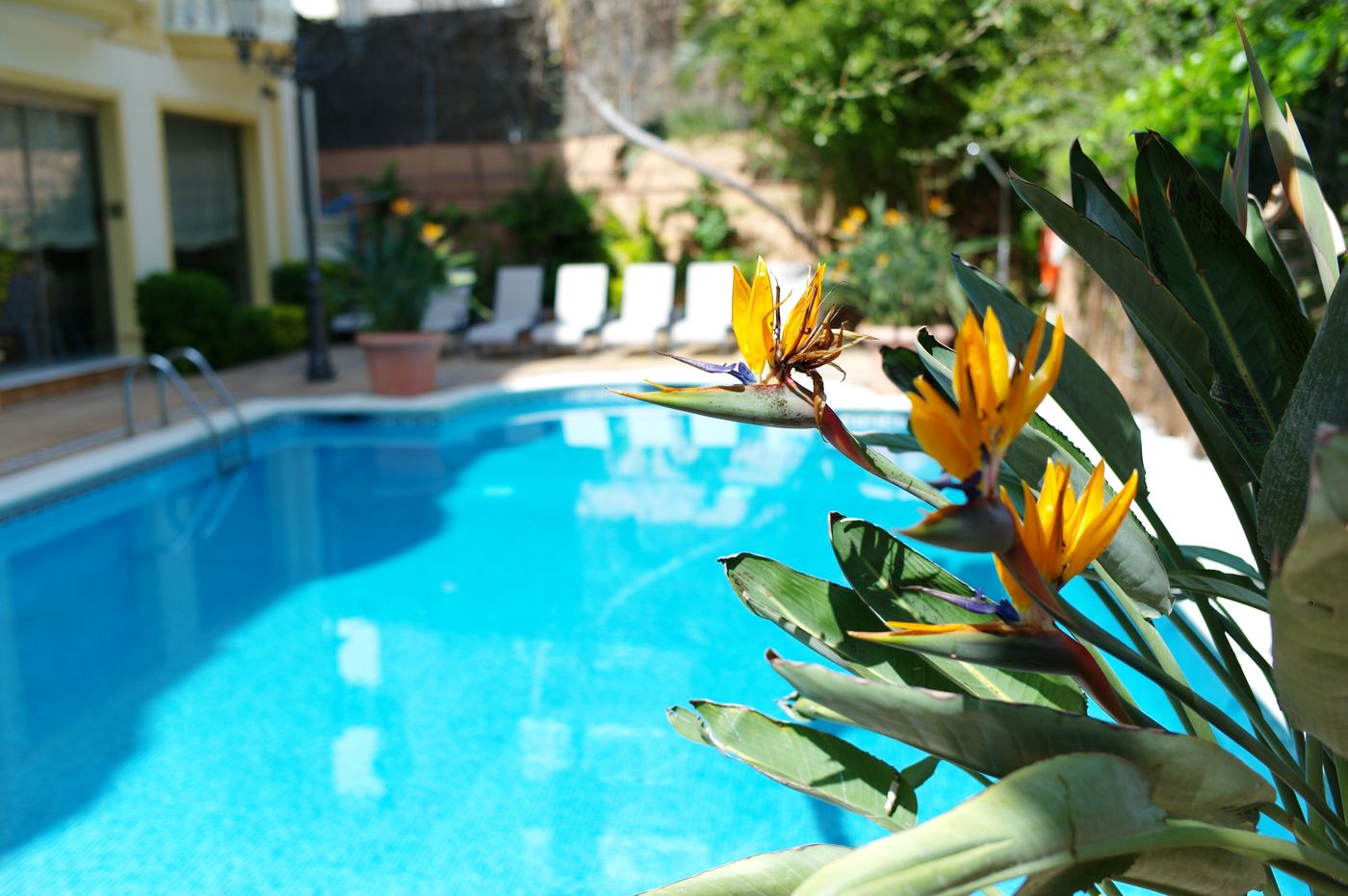 URH-Sitges-Playa-Pool-4