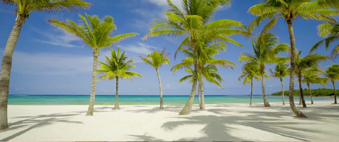 Barcelo-Maya-Riviera---Adults-Only-Beach-79