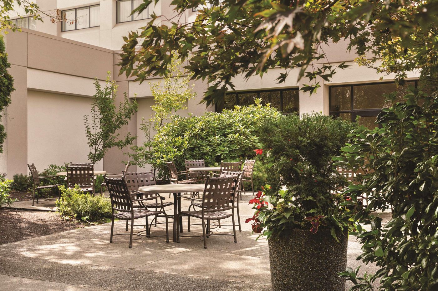 Radisson Hotel Seattle Airport-United States-SEATTLE-General view-6