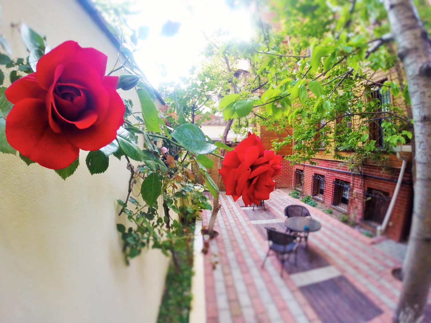 Ottoman's Pearl Hotel - Turkey - ISTANBUL - Terrace - 7