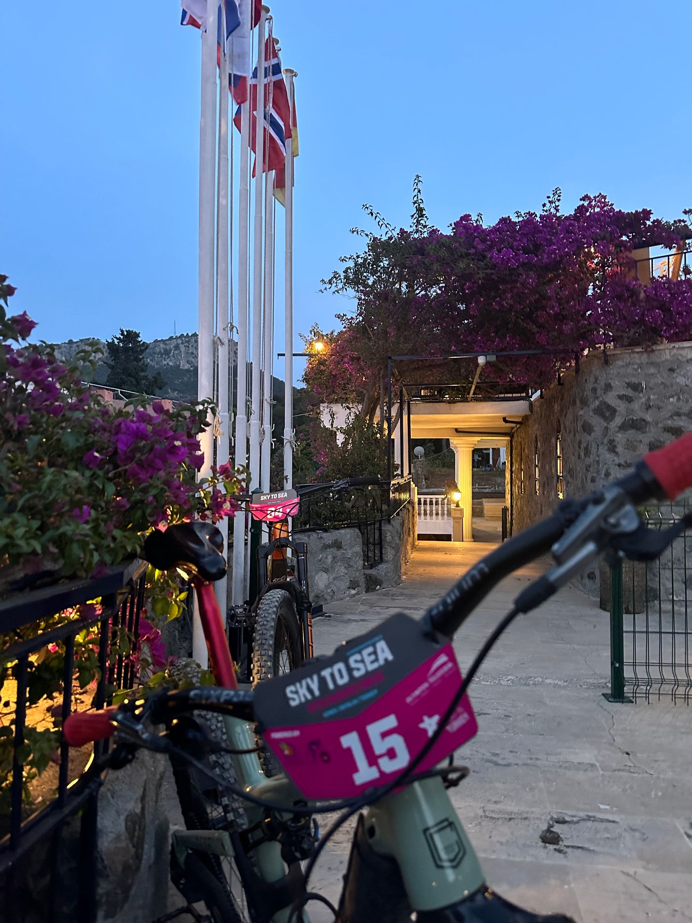 Naturella-Sports-and-Entertainment-29