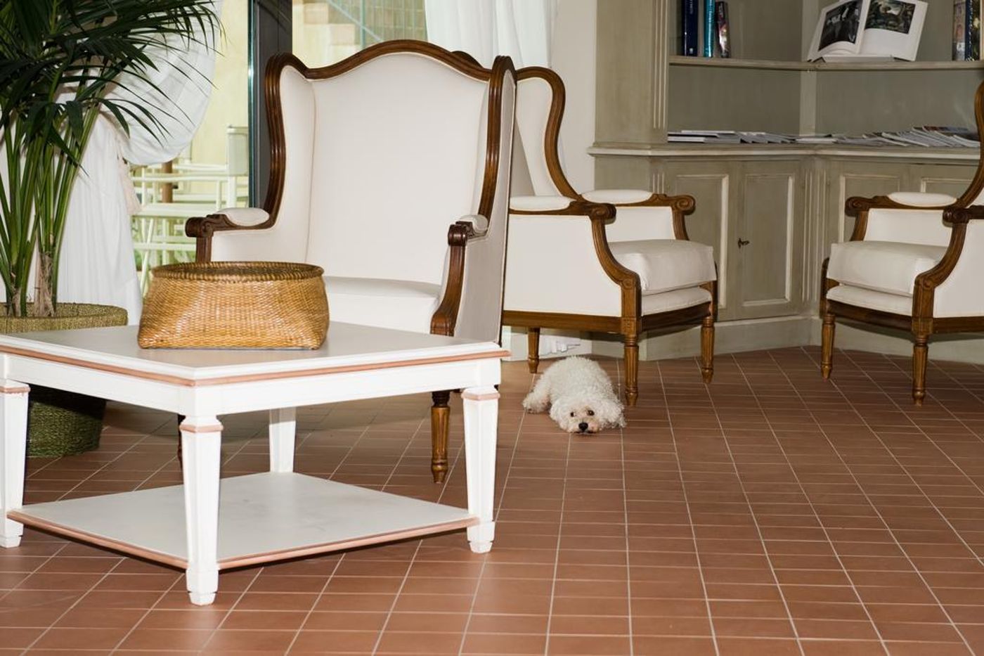 Villa Agnese - Italy - SESTRI LEVANTE  - Lobby - 6