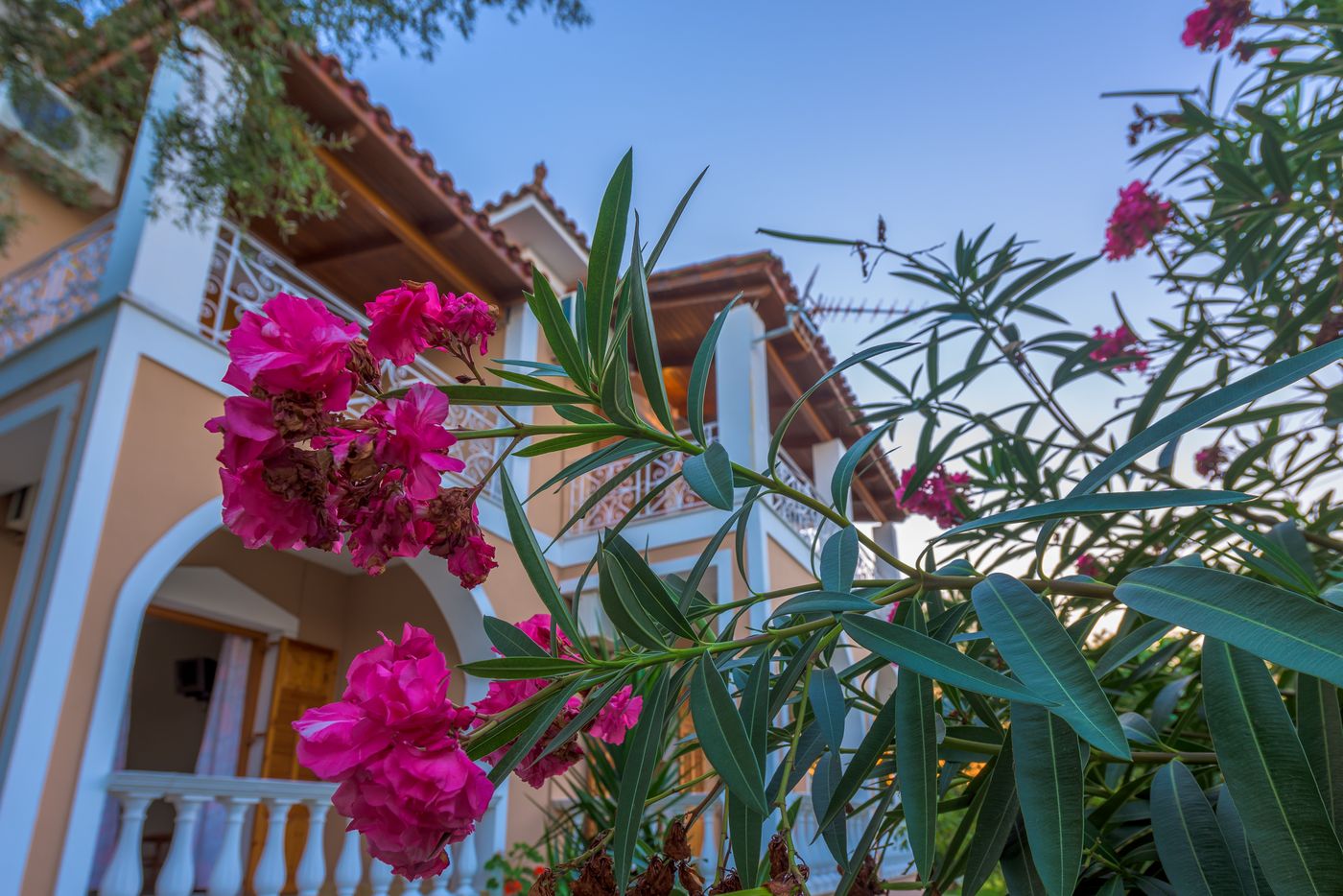 Pansion-Mary-General-view-7