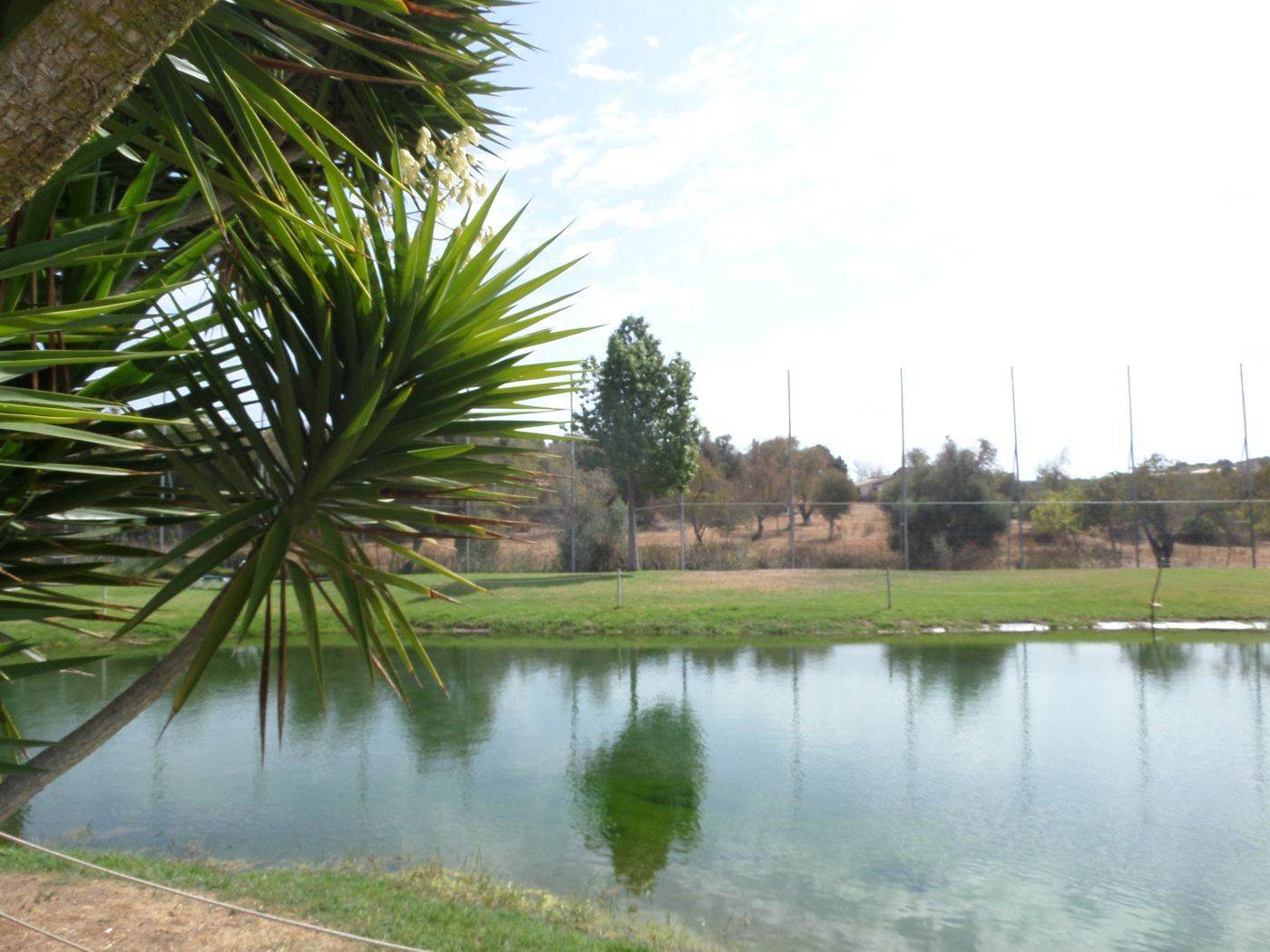 The-Navigator---Palm-Oasis-Alvor-General-view-24