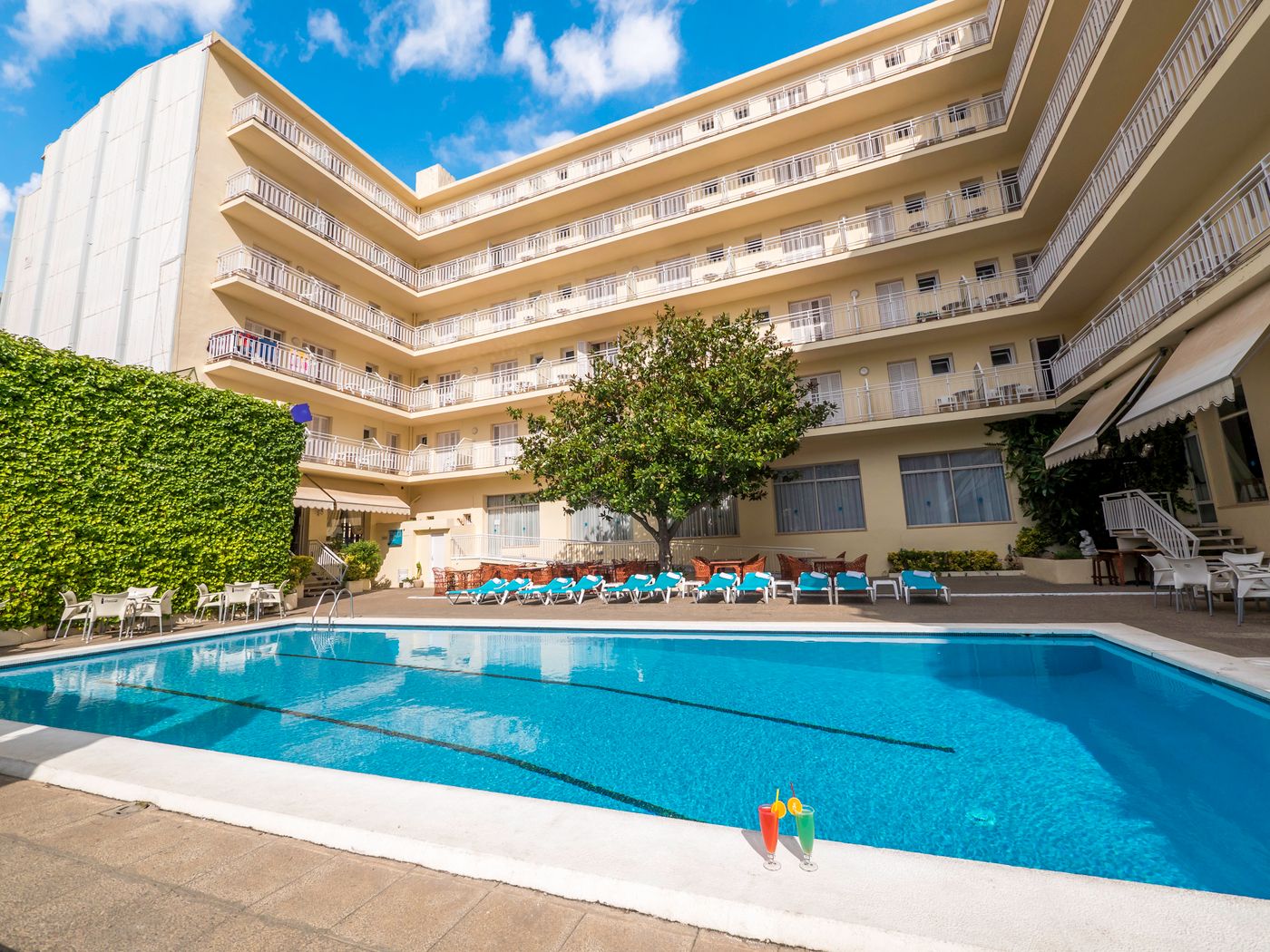 Checkin-Pineda-General-view-3