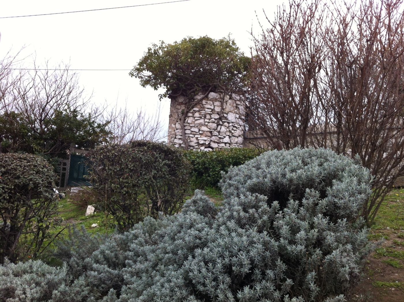 Campanile Saint Antoine-France-MARSEILLE-General view-2