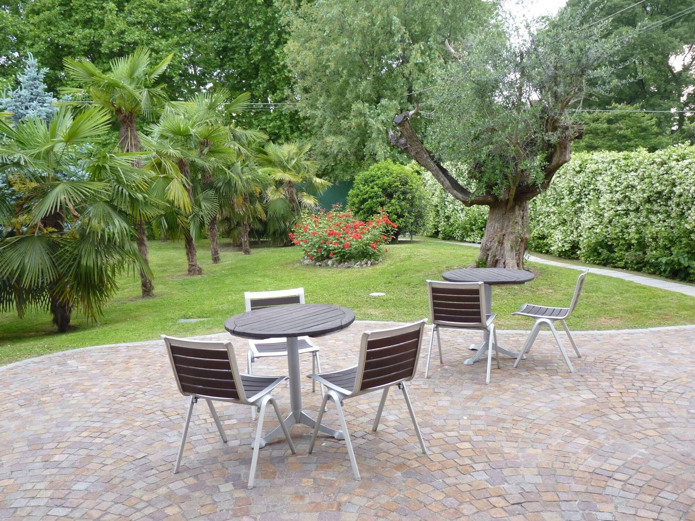 Parco Sassi Hotel - Italy - TURIN - Bar - 5