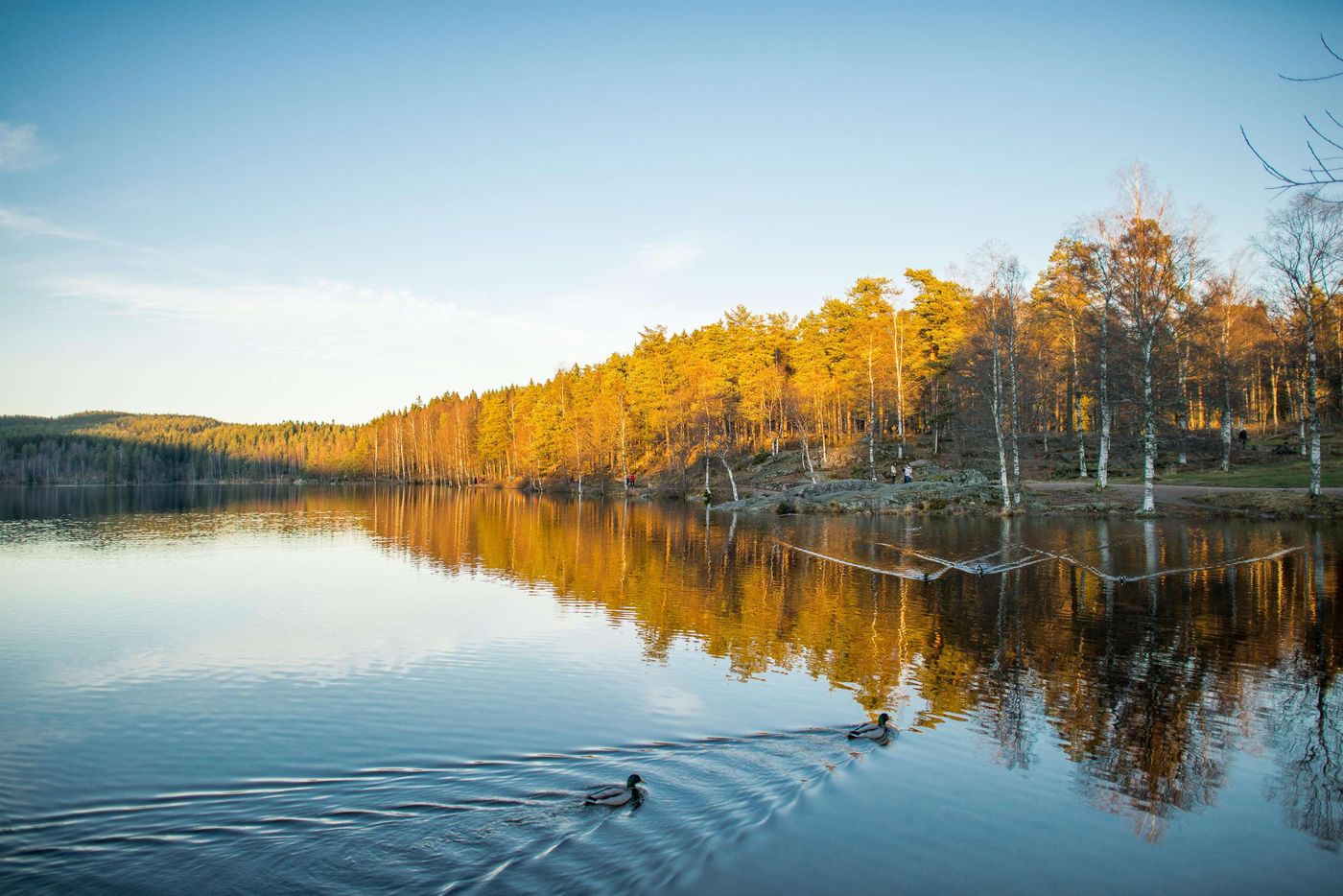 Olympiatoppen Sportshotel - Scandic Partner - Norway - OSLO - General view - 6