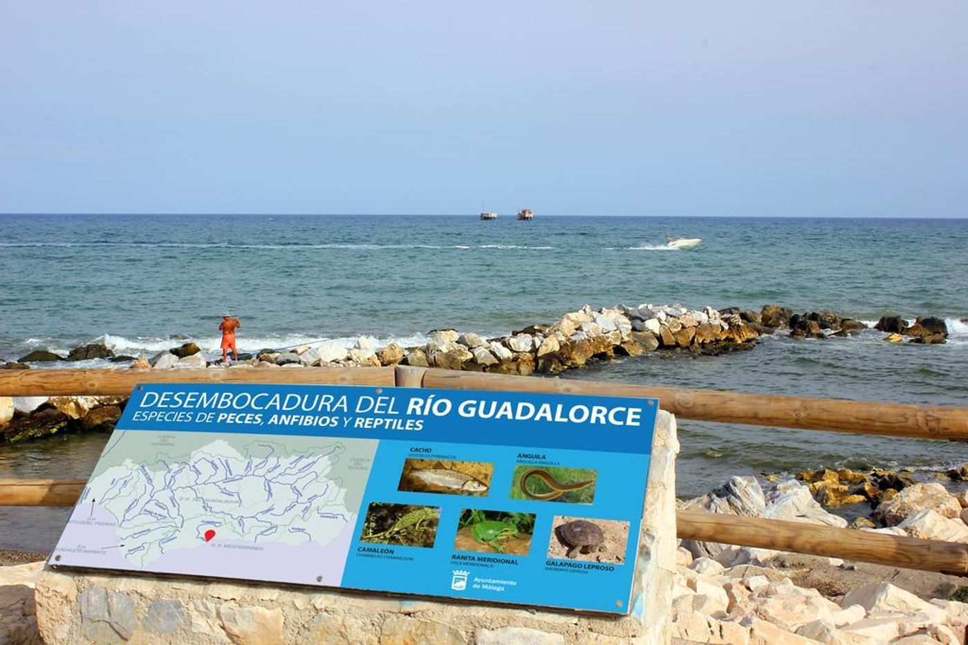 Malaga-Picasso-General-view-34