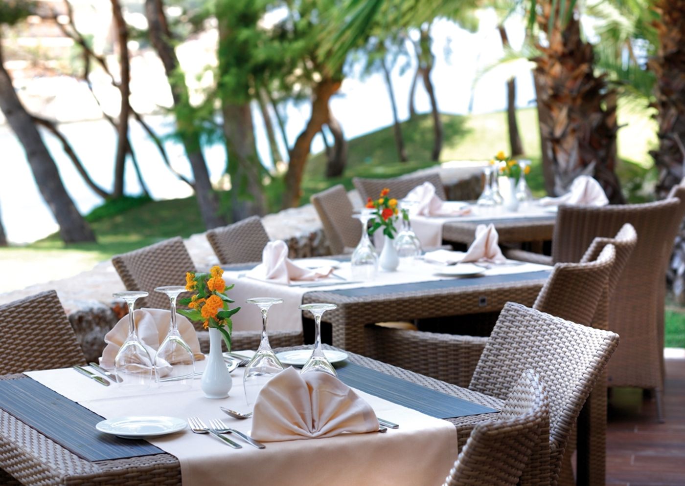 Occidental Cala Viñas