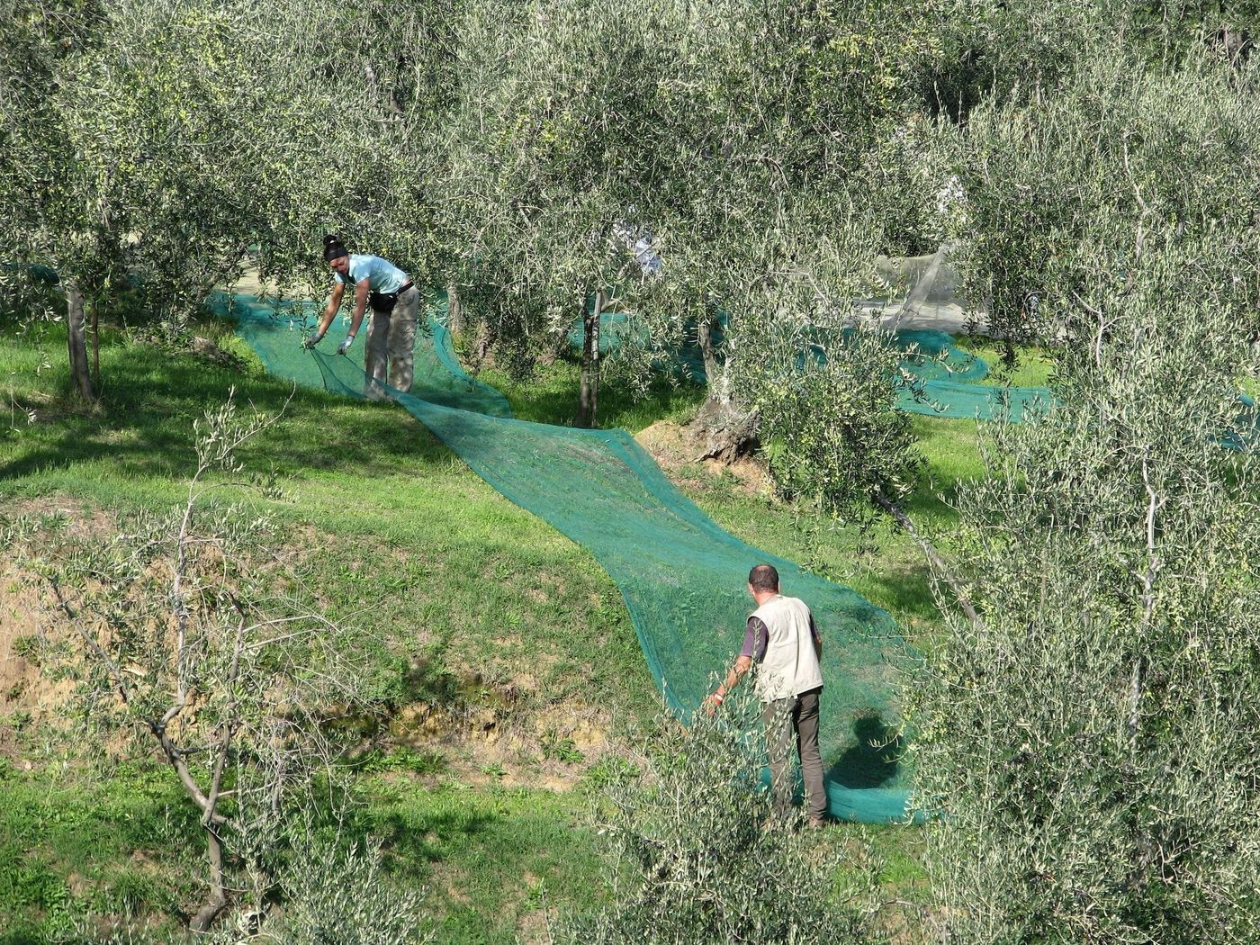 La-Piana-B-B-Sports-and-Entertainment-62