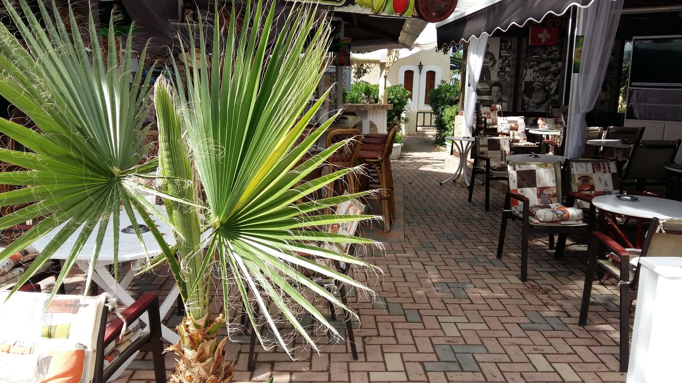 Malia-Studios-Apartments-Bar-16