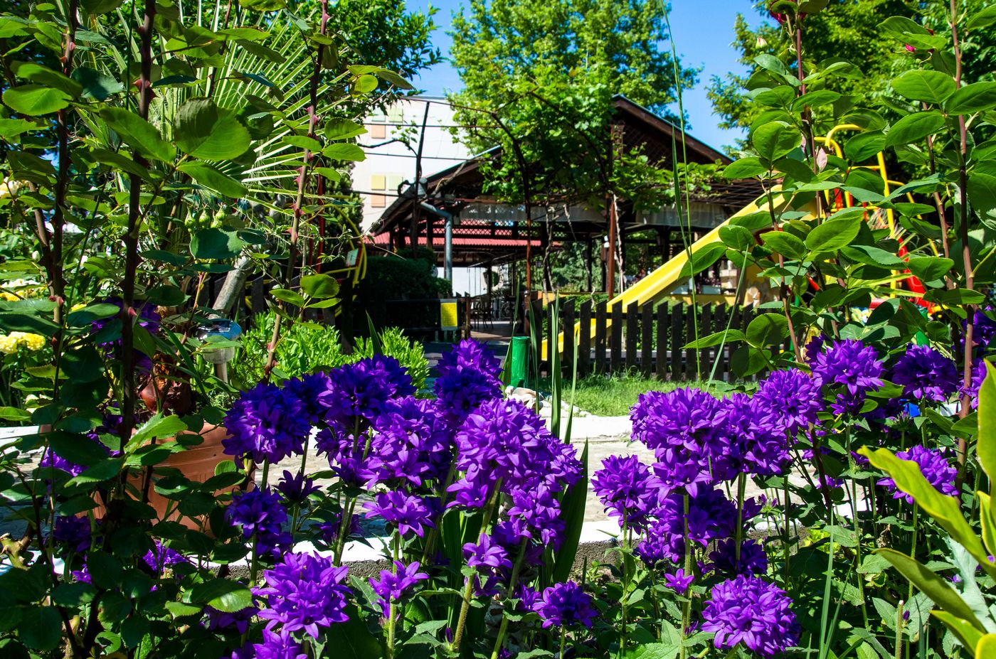 Trakia-Garden-Terrace-12