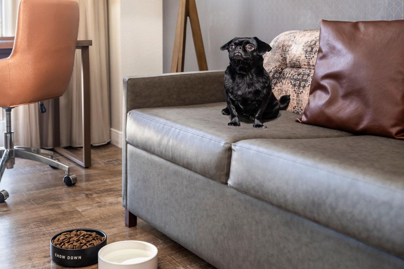 Residence Inn Austin Downtown/Convention Center-United States-AUSTIN-General view-3