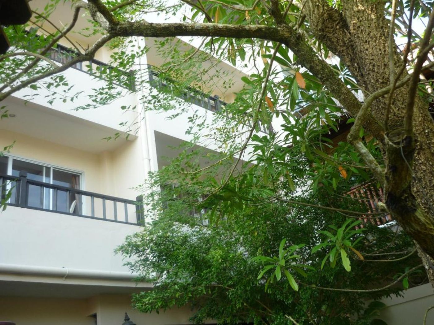 Wild-Orchid-Villa-Krabi-General-view-4