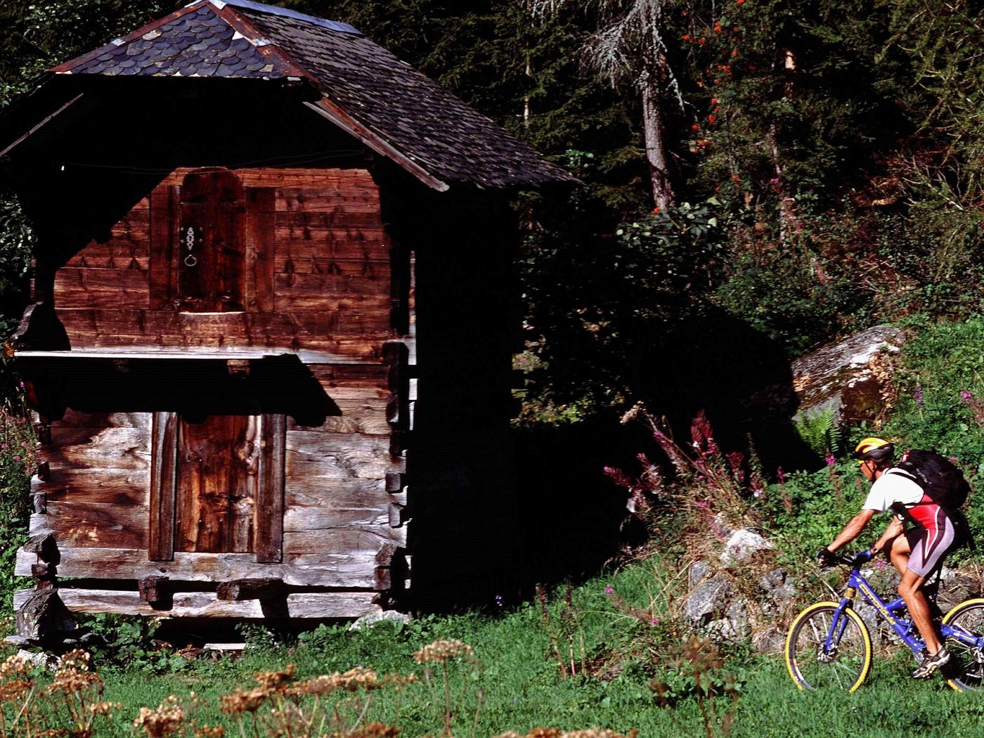 Mercure Annemasse Porte de Geneve-France-GAILLARD-General view-9