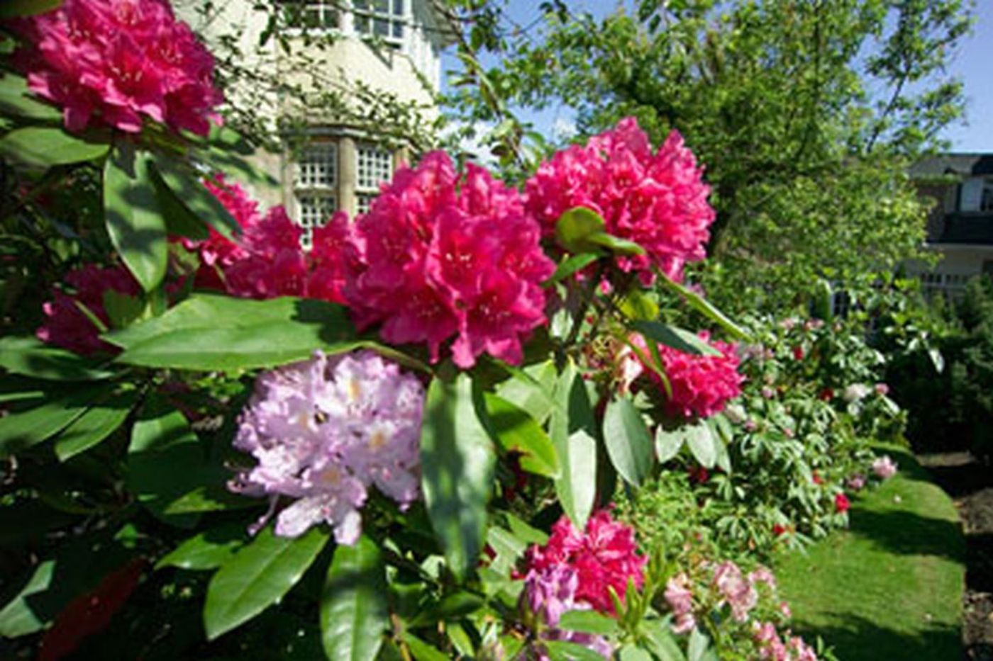 Dalmeny Park Country House Hotel Gardens-United Kingdom-Glasgow-General view-8