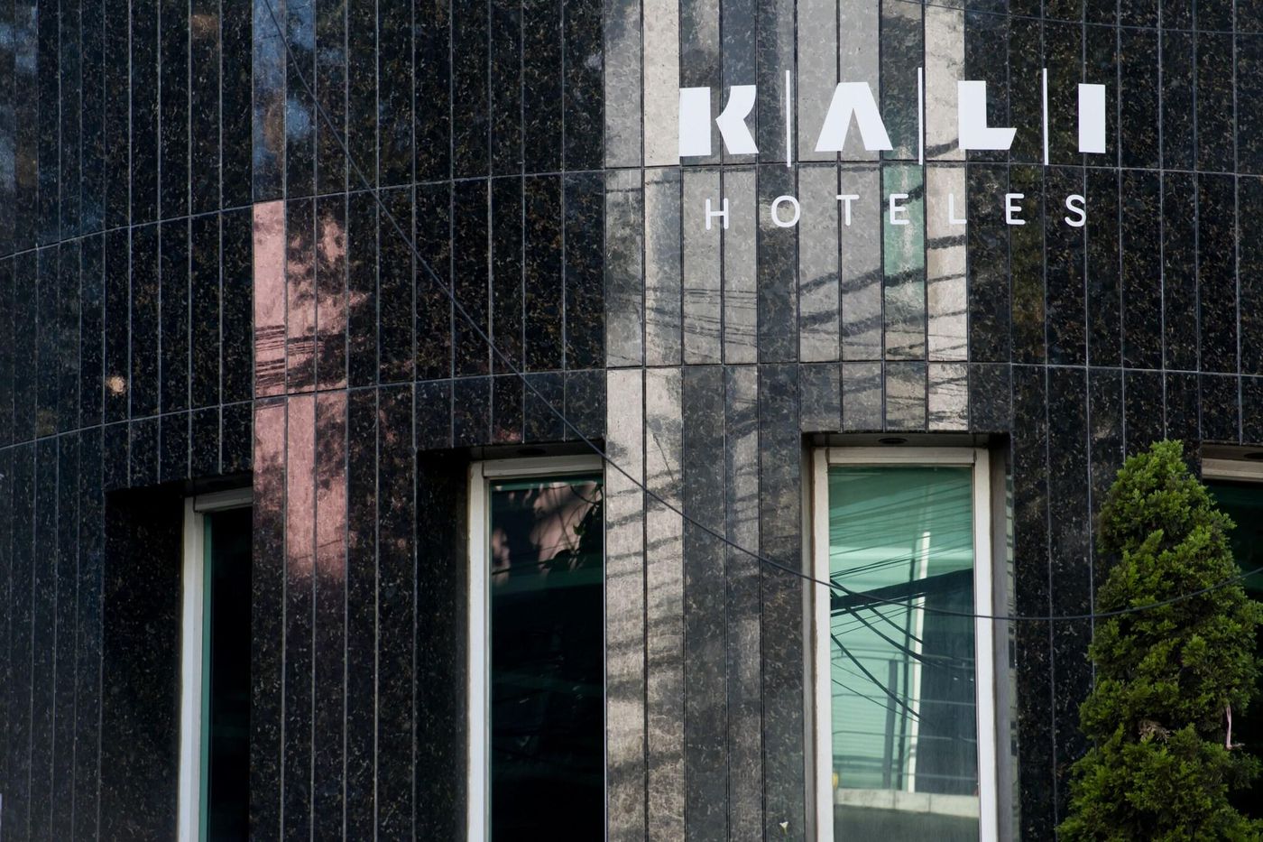 Kali Escandon-Mexico-MIGUEL HIDALGO, CDMX-General view-9