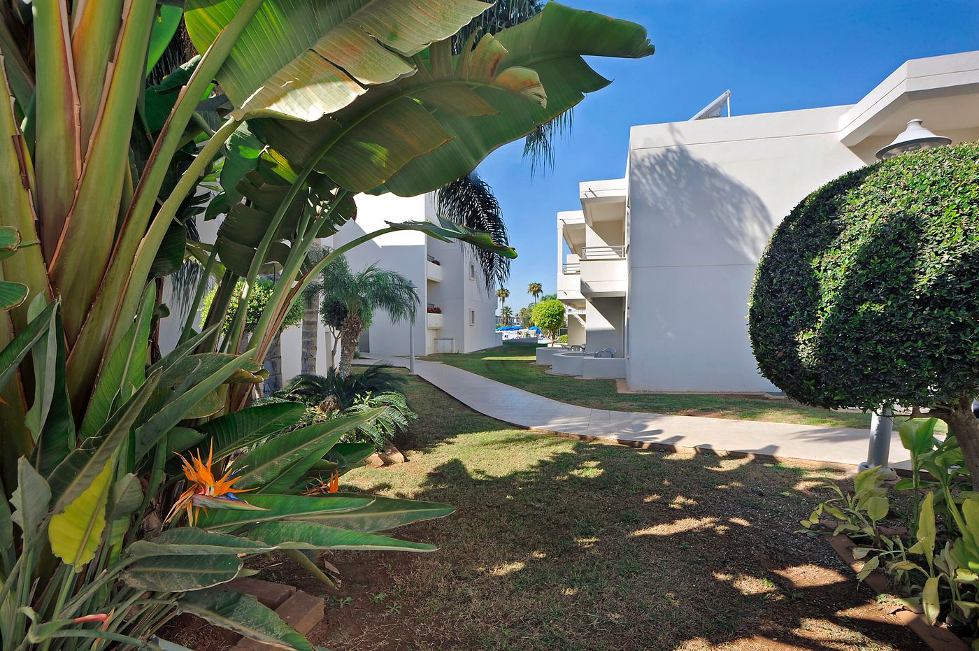 Euronapa-General-view-12