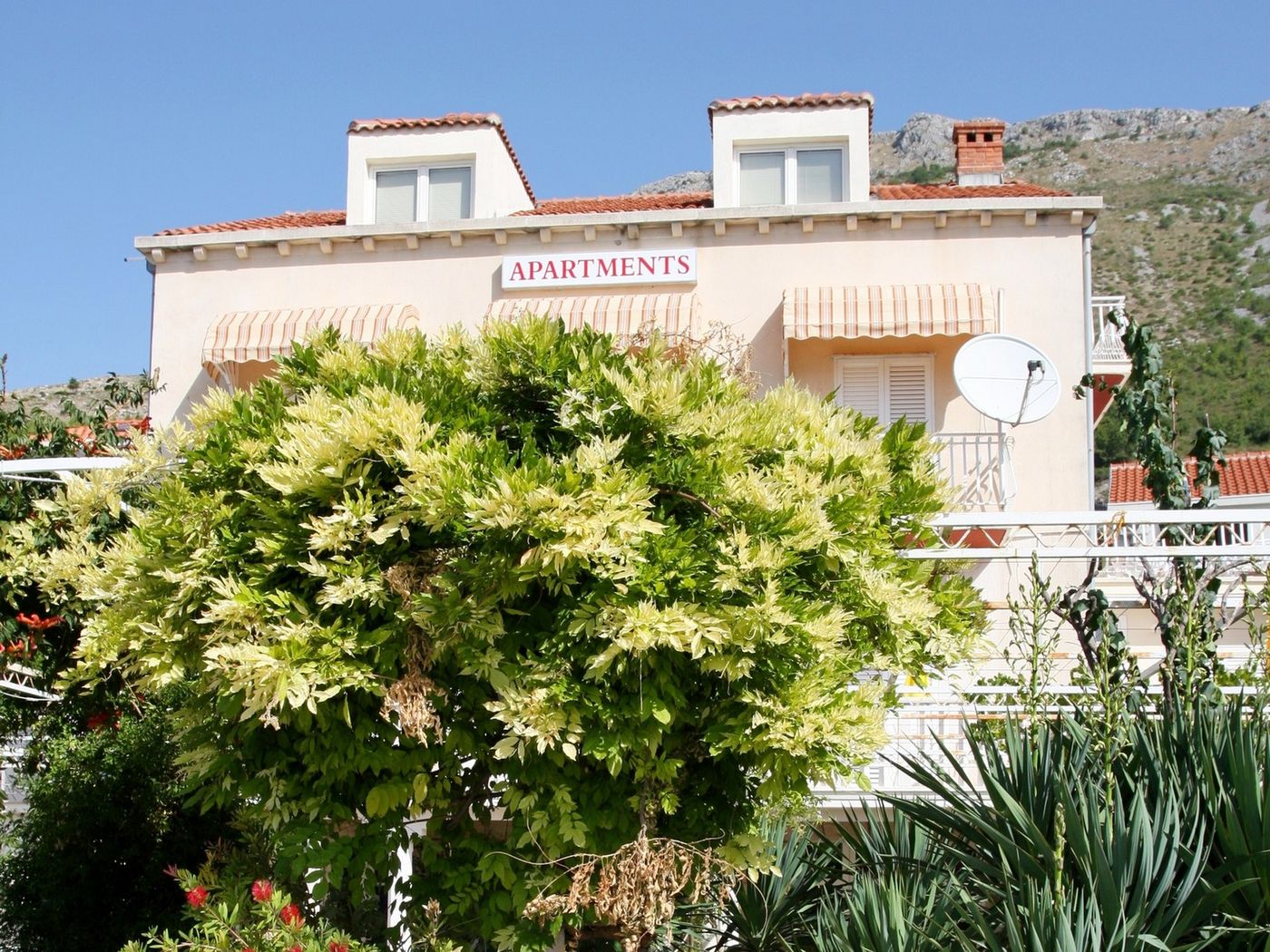 Apartments Cakelic-Croatia-MLINI-General view-2