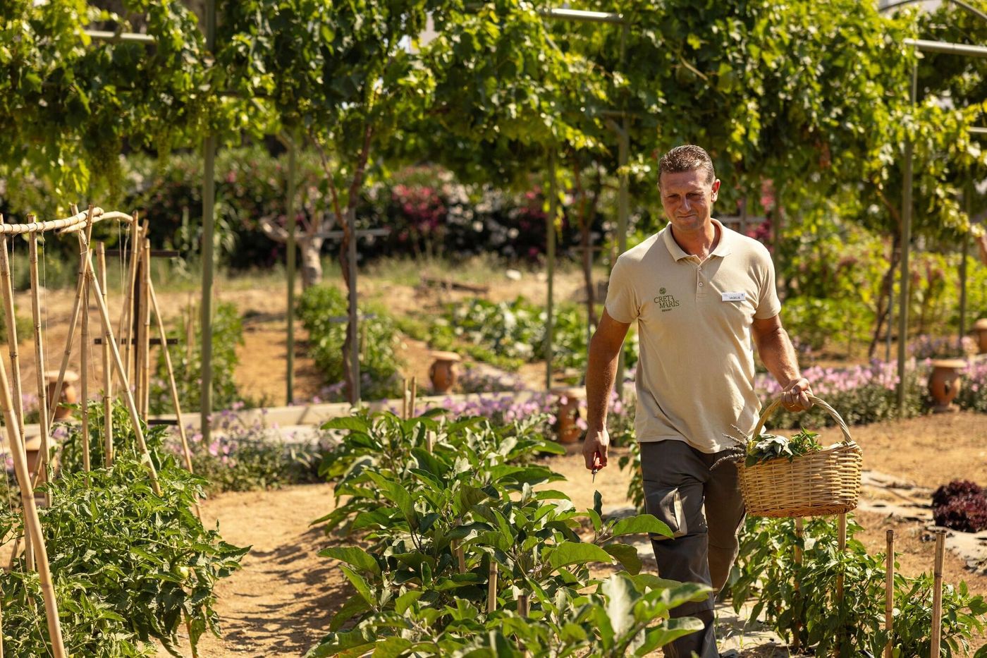 Creta-Maris-Beach-Resort-Terrace-72