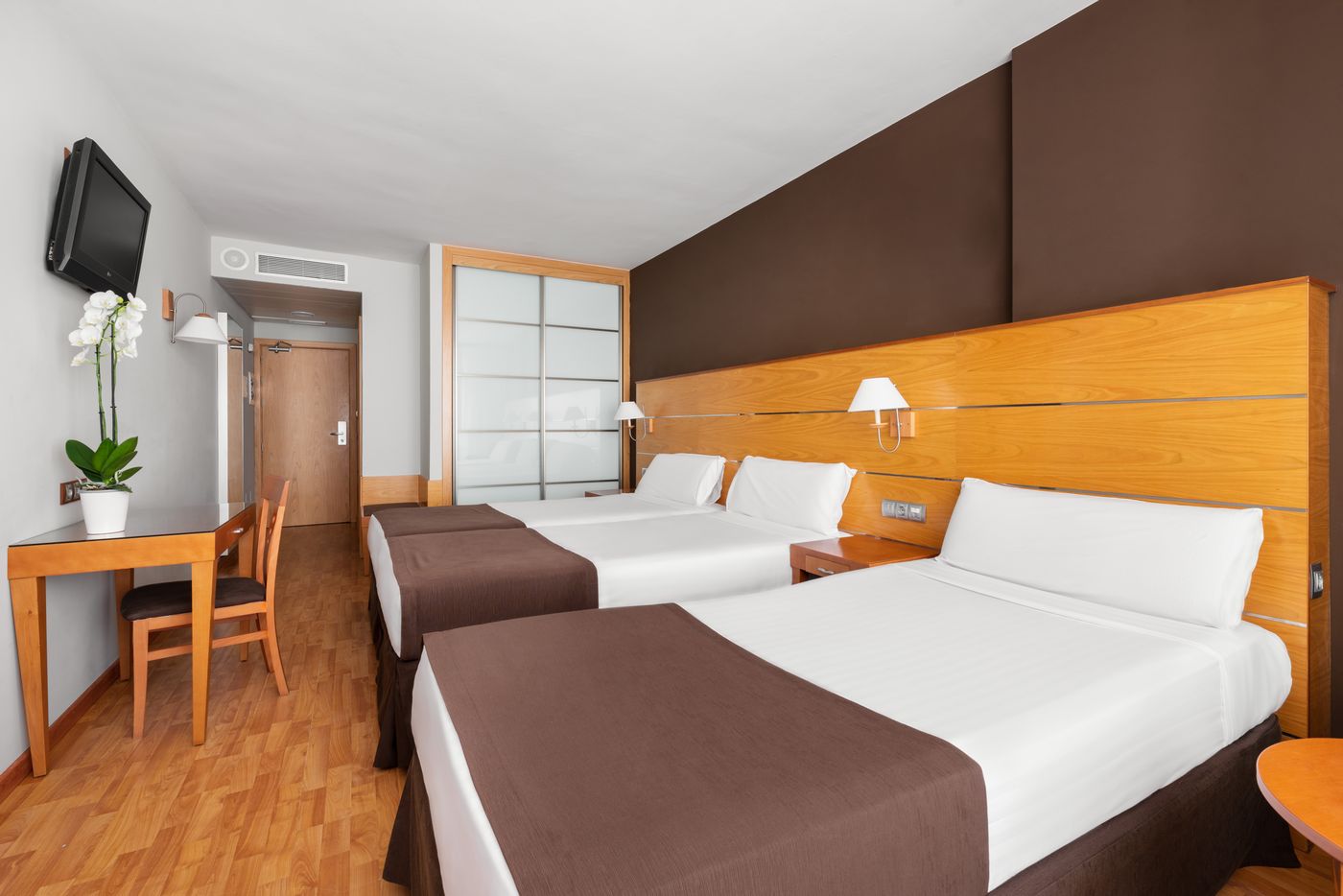 EXE-Las-Palmas-Room-16