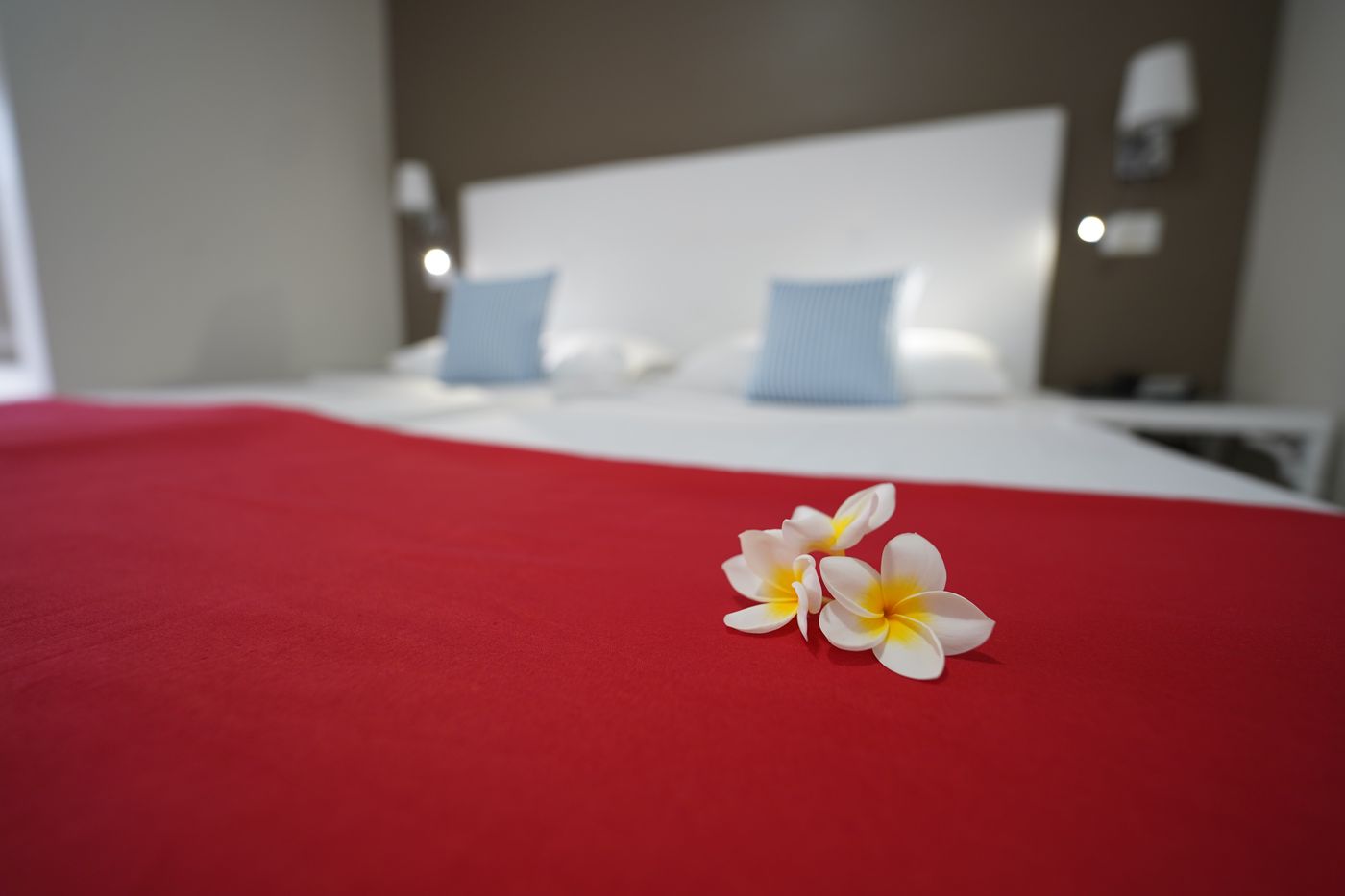 RF-San-Borondon-Room-38