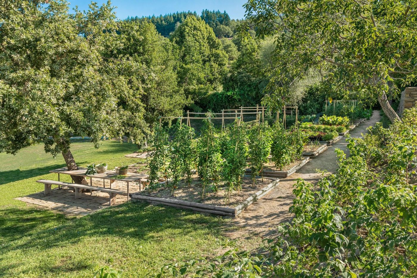 Badia-Di-Pomaio-General-view-10