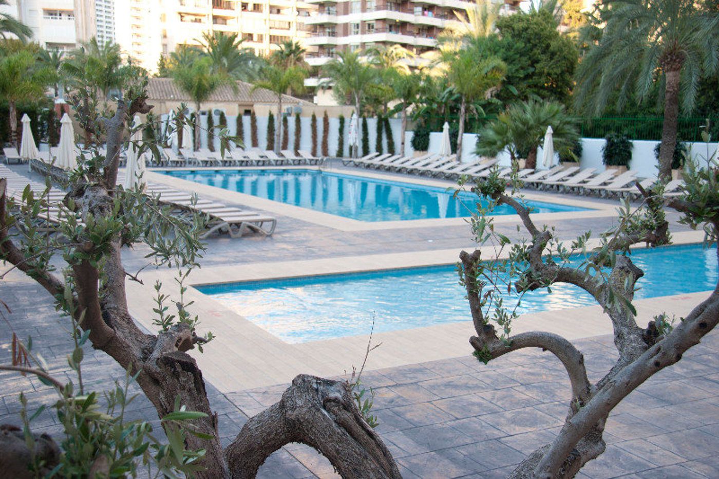 Flash-hotel-Benidorm-Pool-1