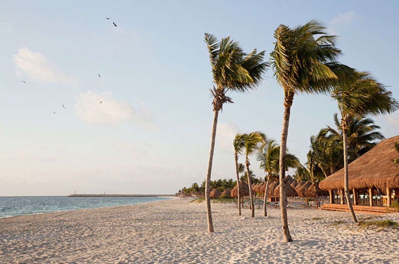 Finest-Playa-Mujeres-by-Excellence-Group-Beach-31