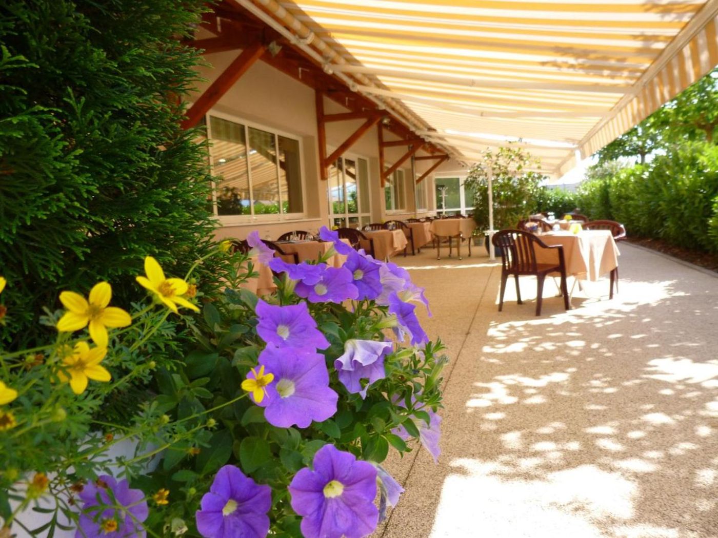 Logis Hotel le Chatard - France - SARCEY - General view - 9