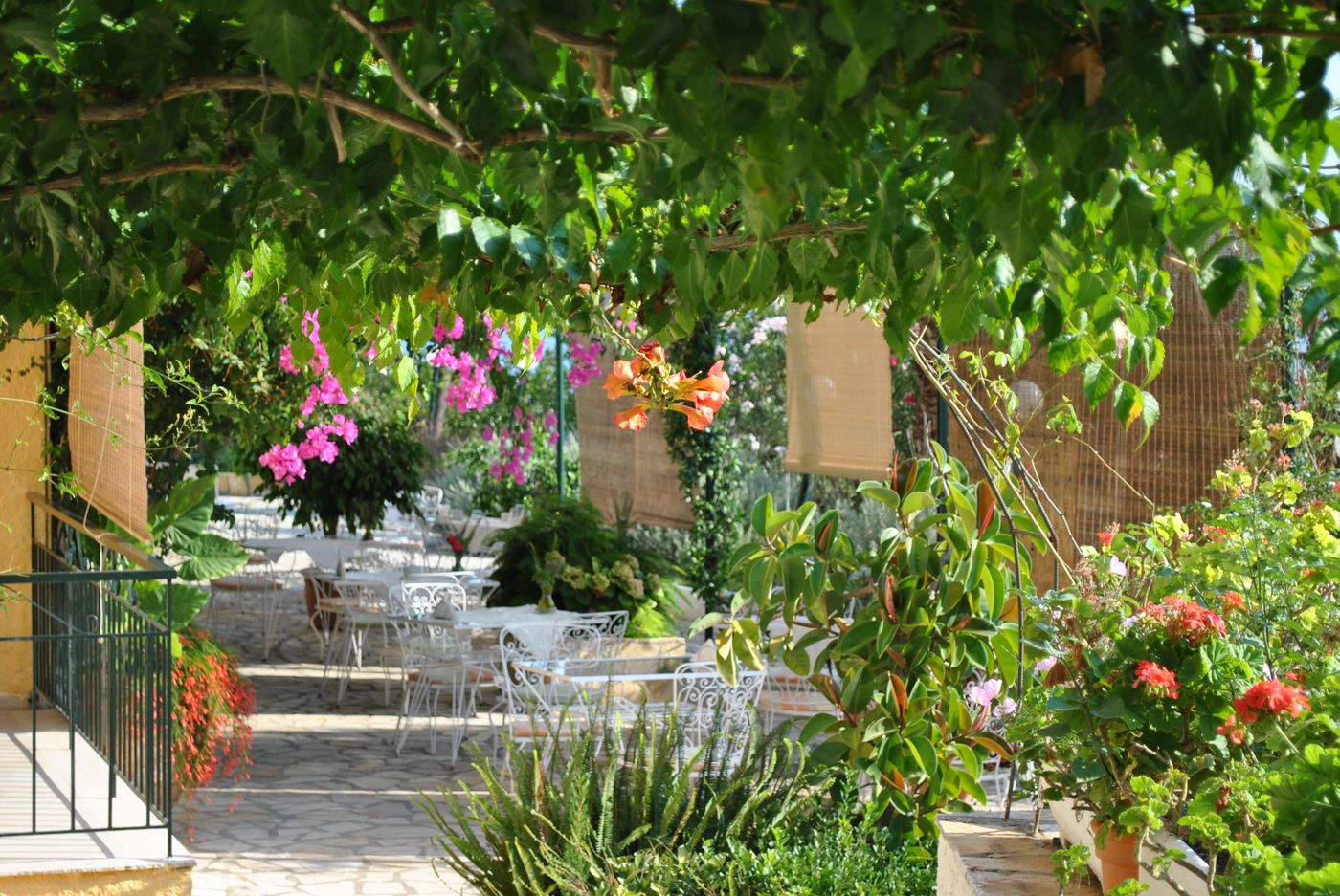 Helios-Splendid-Lobby-2