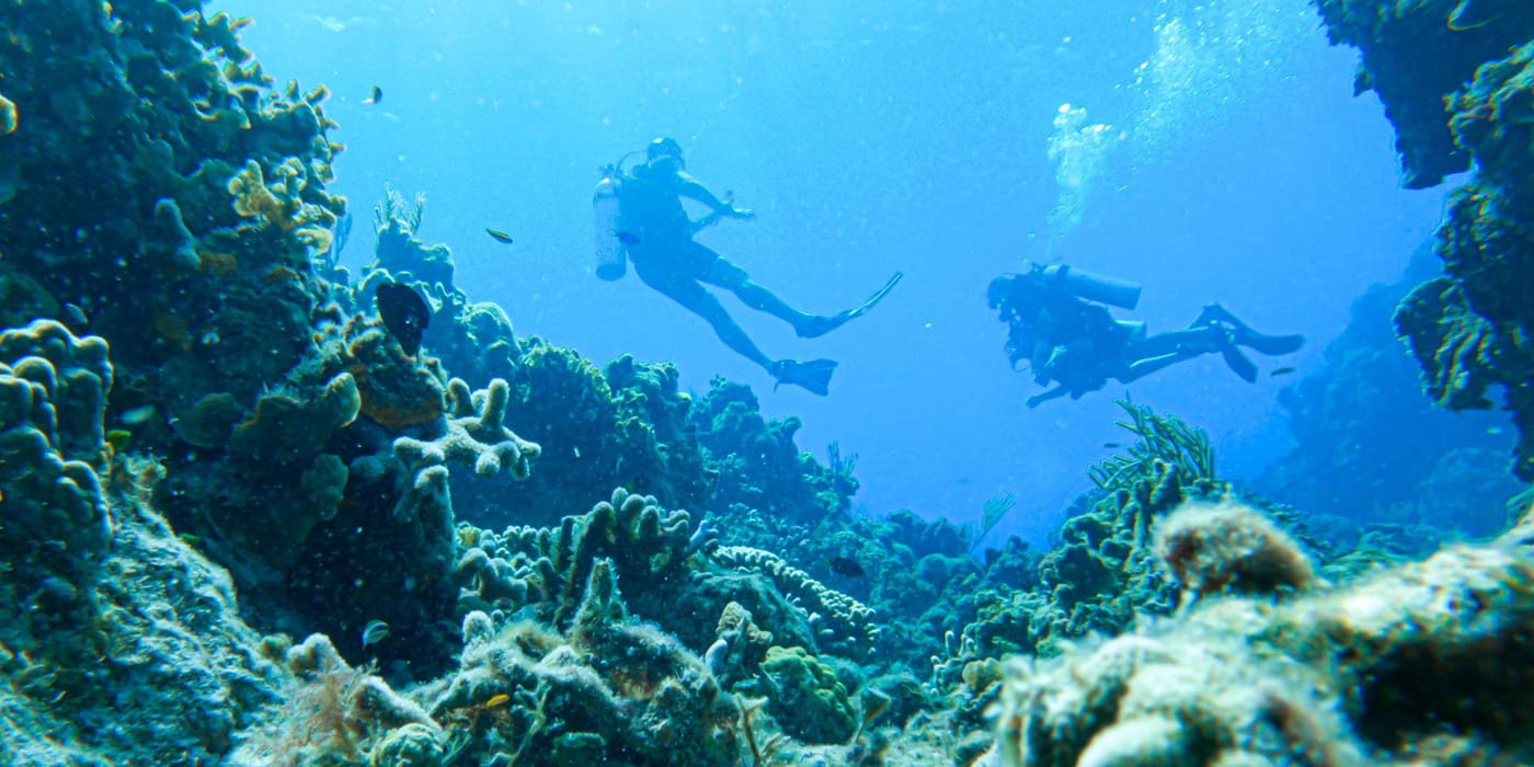 Occidental-Cozumel-Sports-and-Entertainment-61