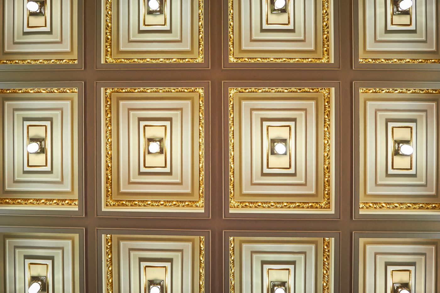 Ambassador-Zlat-----Husa-Conferences-56