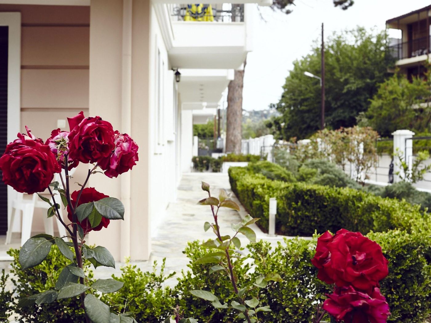 Skiathos-Somnia-General-view-9