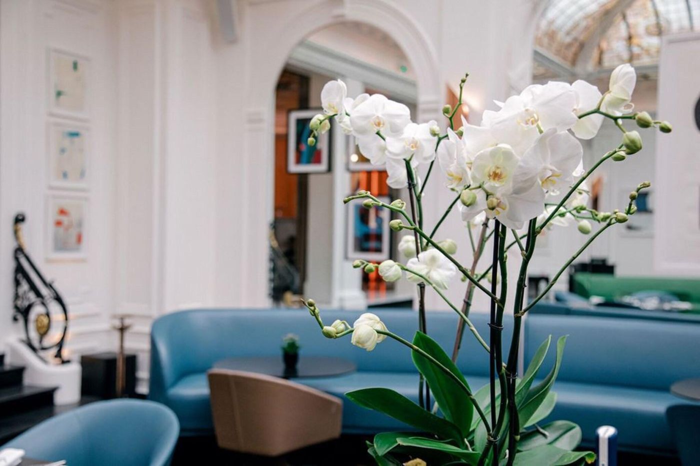 Vernet-Restaurant-25